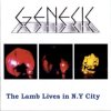 Click to download artwork for The Lamb Lives In NY City